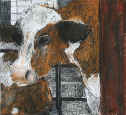 Caramel, Giclee Print of Charcoal and Pastel Drawing of a Brown Cow in a Barn, 14 X 14 Inches