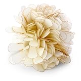 Kate Spade New York Date Night Ring In Cream