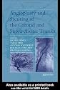 Angioplasty and Stenting of the Carotid and Supra Aortic Trunks