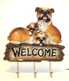 Bulldog Dog Welcome Key - Leash Holder Rack 3 Hooks
