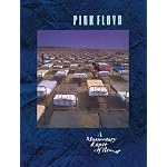 Pink Floyd: A Momentary Lapse of Reason book cover