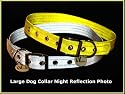 Vedante Super Reflective Dog Collar with Bonus Glow in the Dark Tag (Large, Silver)