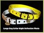 Vedante Super Reflective Dog Collar with Bonus Glow in the Dark Tag (Large, Silver)