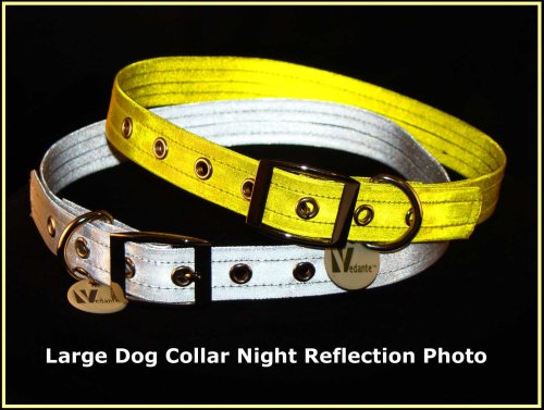 Vedante Super Reflective Dog Collar with Bonus Glow in the Dark Tag (Large, Silver)