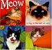 Meow:  A Day in the Life of Cats