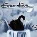 Evereve-Stormbirds