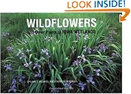 Wildflowers Othr Plts Ia Wtlnds-99