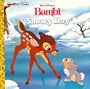Snowy Day (Golden Look-Look Books)