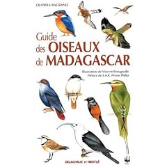 Guide des oiseaux de Madagascar