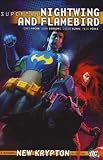 Superman: Nightwing and Flamebird v.1
