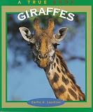 Giraffes (True Book)
