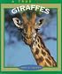 Giraffes (True Book)