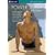 Power Yoga Total Body [DVD] [2005]