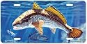 Redfish & Crab Art Print - License Plate Tag By Don Ray From Airstrike