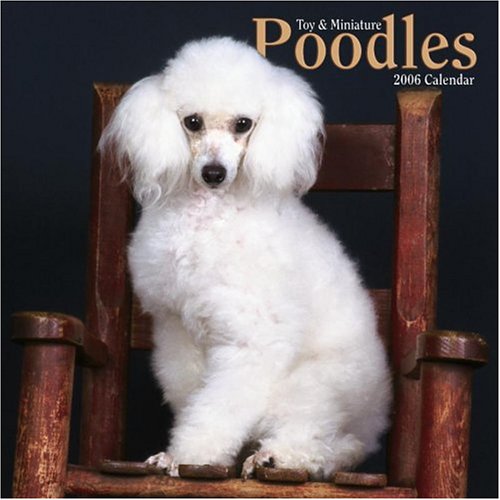 Miniatures