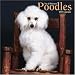 Toy & Miniature Poodles 2006 Calendar