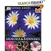 Annuals & Biennials (DK Garden Guides)