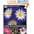 Annuals & Biennials (DK Garden Guides)