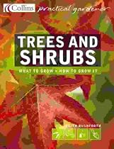 Trees and Shrubs: The Essential and Definitive Guide (Collins Practical Gardener)