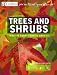 Trees and Shrubs
