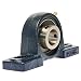 UCP205-14 Pillow Block Mounted Bearing, 2 Bolt, 7/8" Inside Diameter, Set screw Lock, Cast Iron, Inch