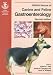 Books : BSAVA Manual of Canine and Feline Gastroenterology (Bsava Manual)