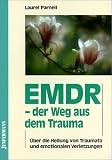 EMDR, der Weg aus dem Trauma