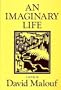 An Imaginary Life