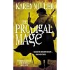 The Prodigal Mage