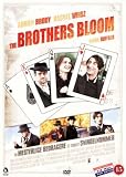 The Brothers Bloom (Region 2) (Import)