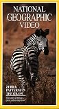 National Geographic Video: Zebra: Patterns in the Grass