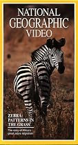 National Geo.:Zebras:Patterns