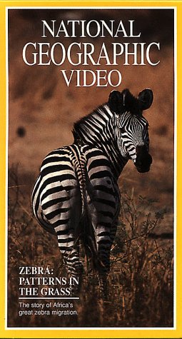 National Geographic Video: Zebra: Patterns in the Grass
