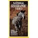 National Geographic Video: Zebra: Patterns in the Grass [VHS]