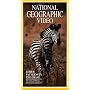 National Geographic Video: Zebra: Patterns in the Grass