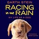 Racing in the Rain