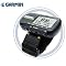 Garmin Forerunner 201