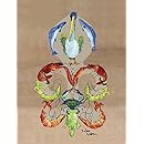 Caroline's Treasures 8134GF Crab Flag, Small, Multicolor