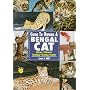 Guide to Owning a Bengal Cat