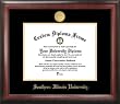 Southern Illinois University Gold Embossed Medallion 18x14 Diploma Frame