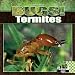 Book Termites (Bugs!)