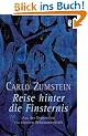 Reise hinter die Finsternis: Aus der Depression zur eigenen Schamanenkraft