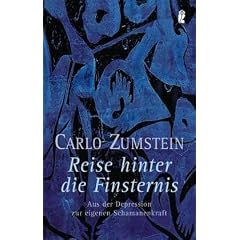 Reise hinter die Finsternis: Aus der Depression zur eigenen Schamanenkraft