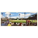 Good Sports Art Washington Senators Long Gone Griffith Lithograph