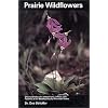 Prairie Wildflowers