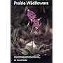Prairie Wildflowers