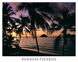 Hawaiian Paradise, Art Poster, size 20 x 16