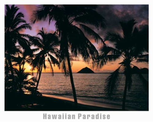 Hawaiian Paradise, Art Poster, size 20 x 16