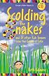 Scolding the Snakes: And 58 Other Kid's from the Gospel of Luke