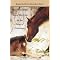 read the very best horse books for girls out there!